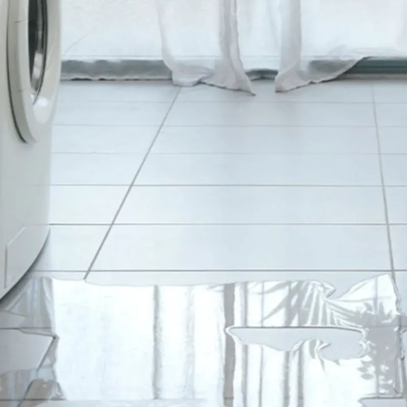 Appliance Leak Cleanup in Wellford, SC