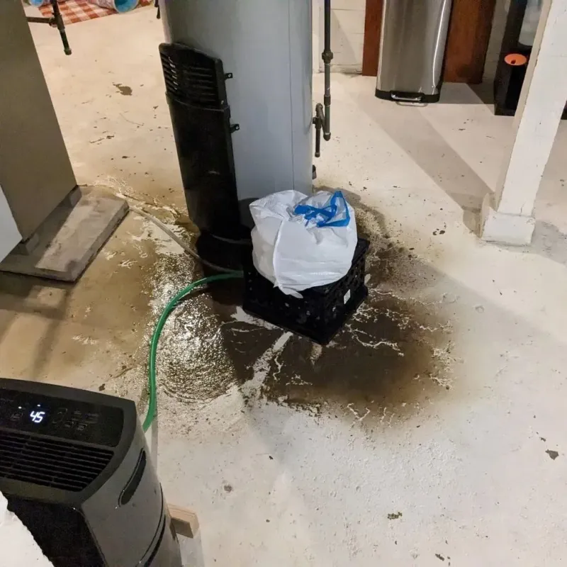 Sewage Backup Cleanup Service in Wellford, SC